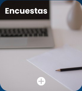 Encuestas