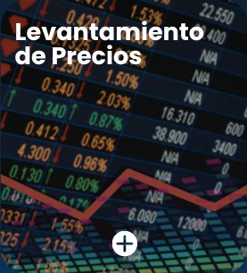 Levantamiento de Precios